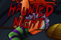 খেলুন Haunted Night
